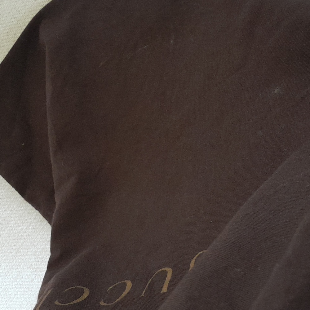 Authentic Brown Gucci Drawstring Dust Bag! - image 8